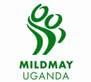 mildmay uganda e1750142099724